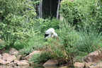 Tiere